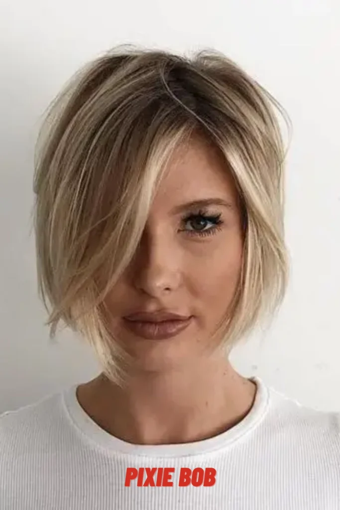 Pixie Bob