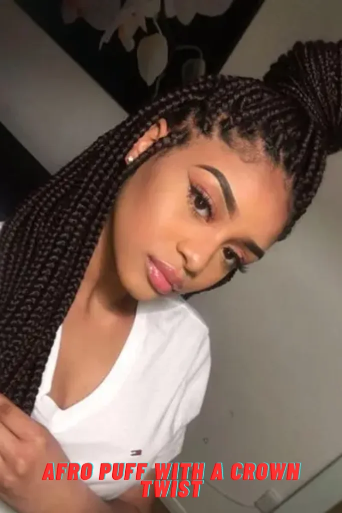 Afro Puff with a Crown Twist