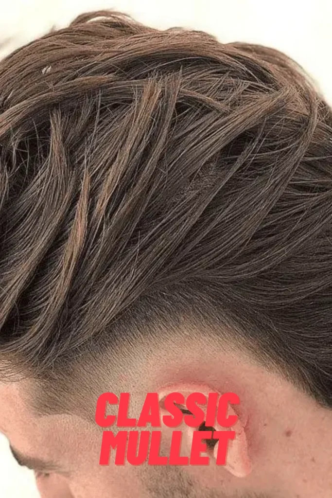 Classic Mullet
