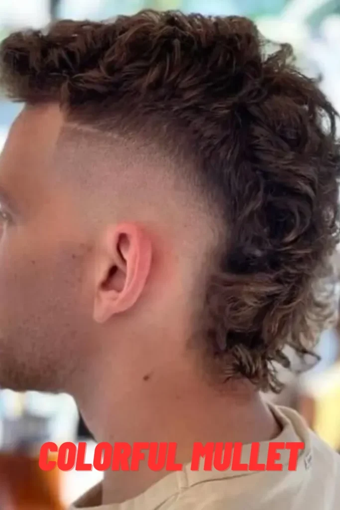 Colorful Mullet