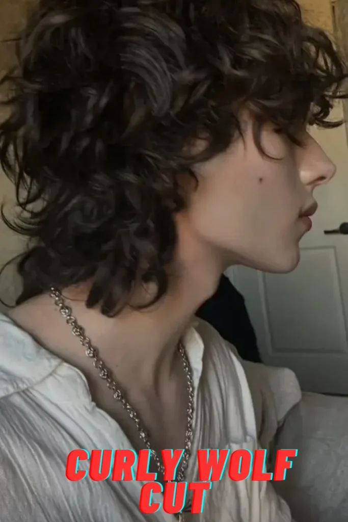 Curly Wolf Cut