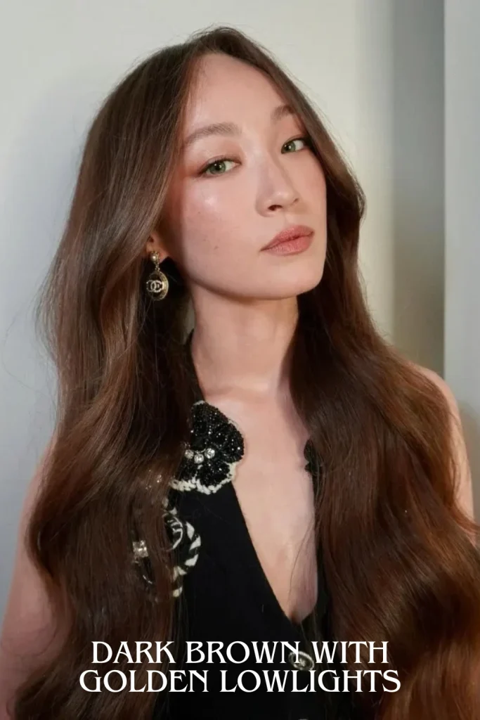 Dark Brown with Golden Lowlights