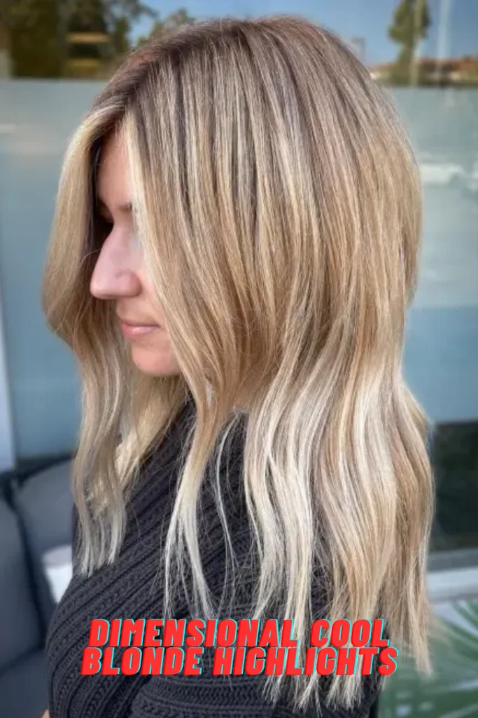 Dimensional Cool Blonde Highlights