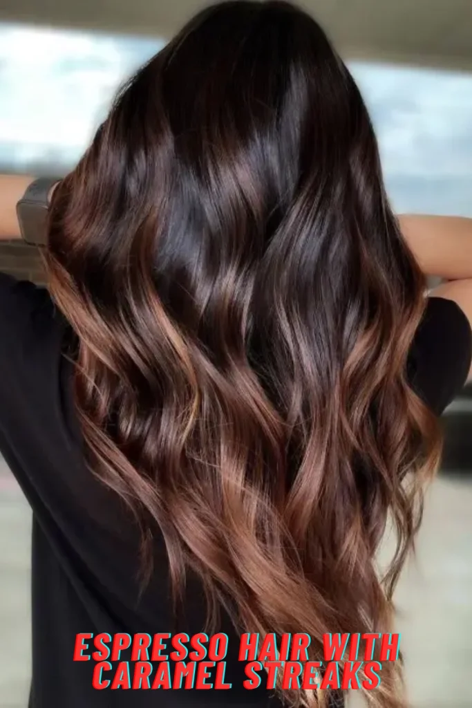 Espresso Hair with Caramel Streaks