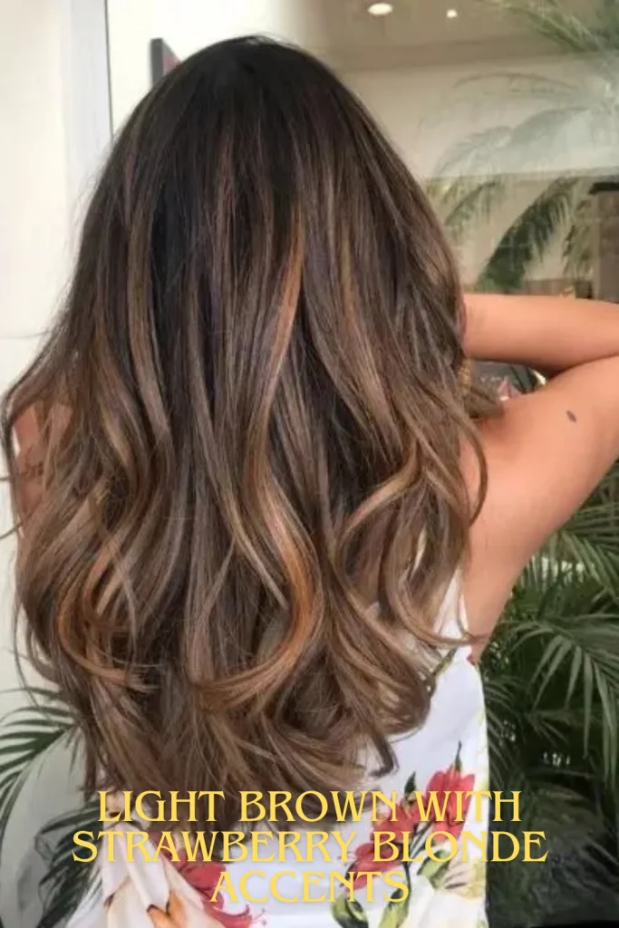 Light Brown with Strawberry Blonde Accents