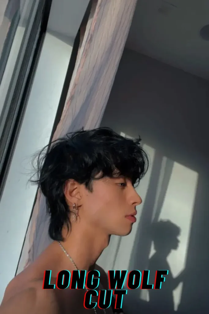 Long Wolf Cut