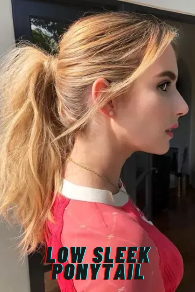 Low Sleek Ponytail