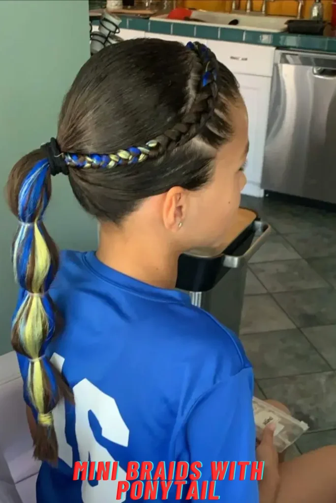 Mini Braids with Ponytail