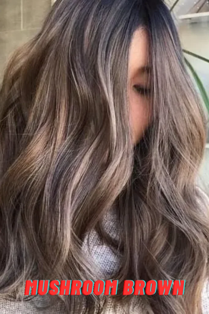 Mushroom Brown
