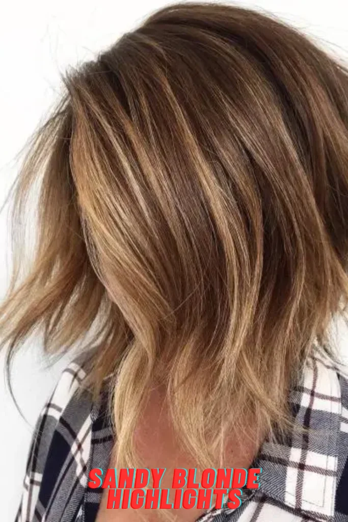 Sandy Blonde Highlights