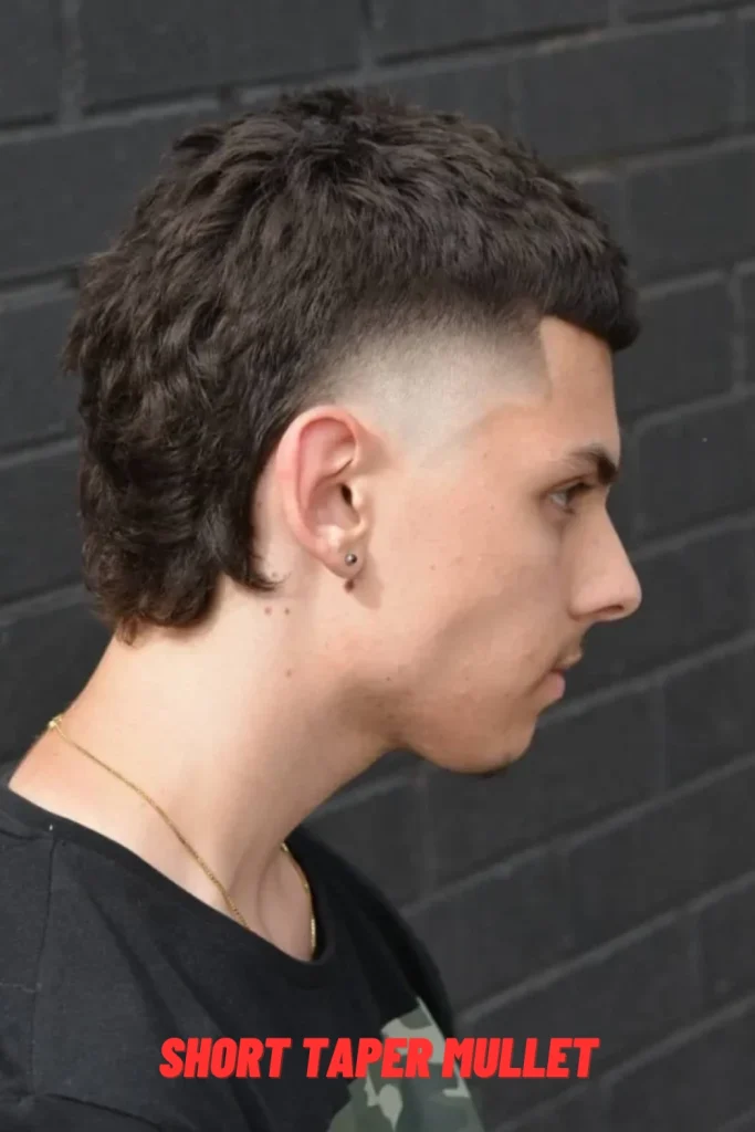Short Taper Mullet