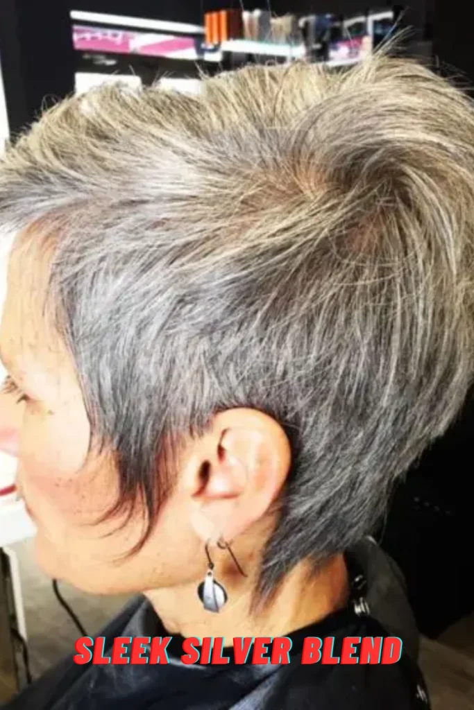 Sleek Silver Blend