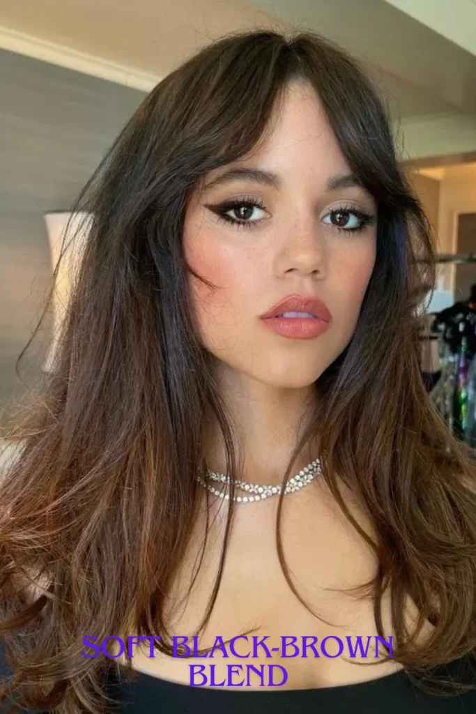 Soft Black-Brown Blend