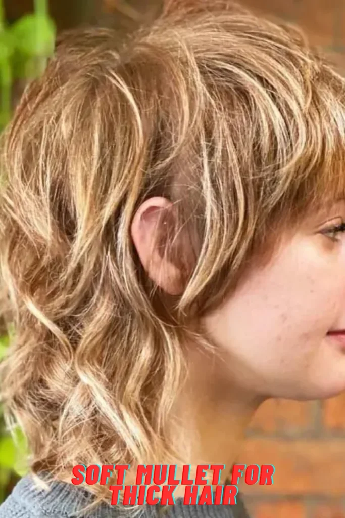 Soft Mullet for Thick Hair