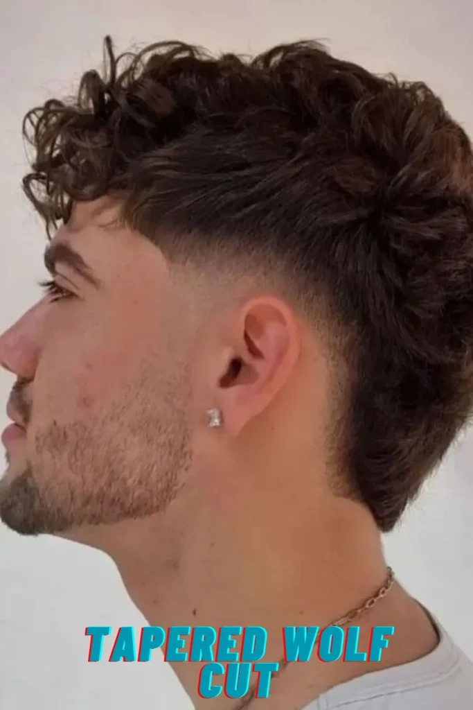Tapered Wolf Cut