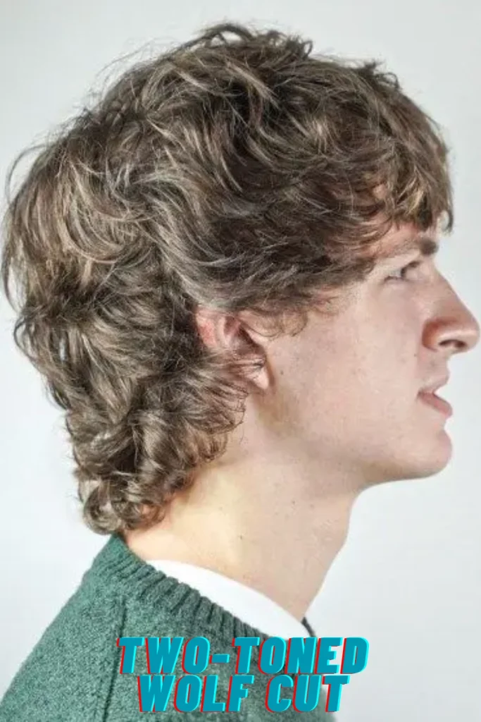 Two-Toned Wolf Cut