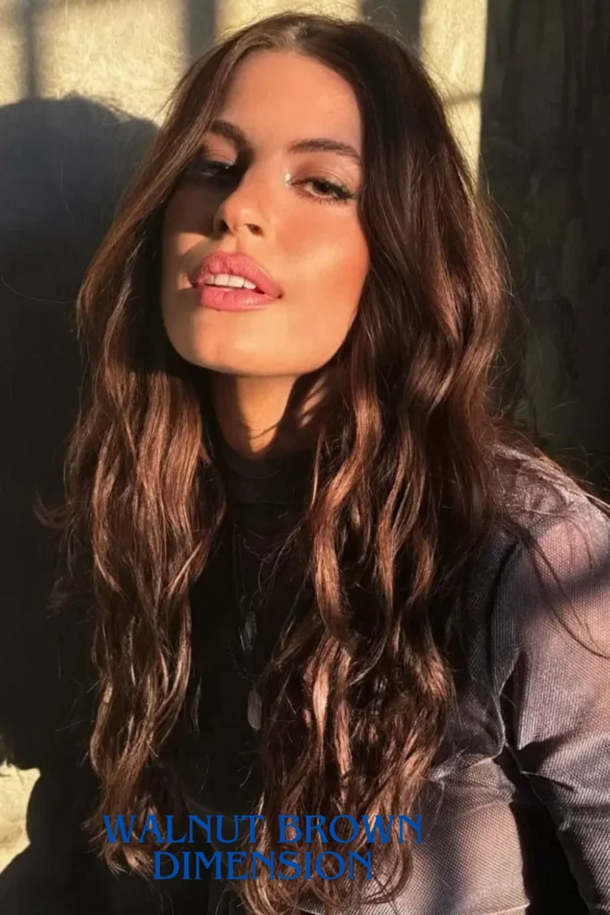 Walnut Brown Dimension