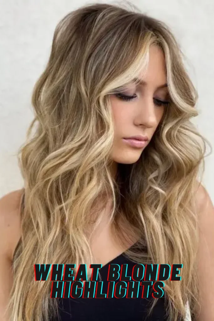 Wheat Blonde Highlights