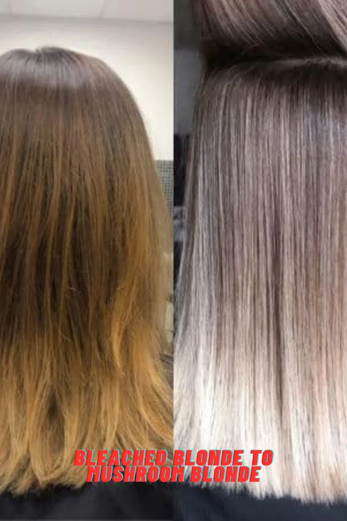 Bleached Blonde to Mushroom Blonde