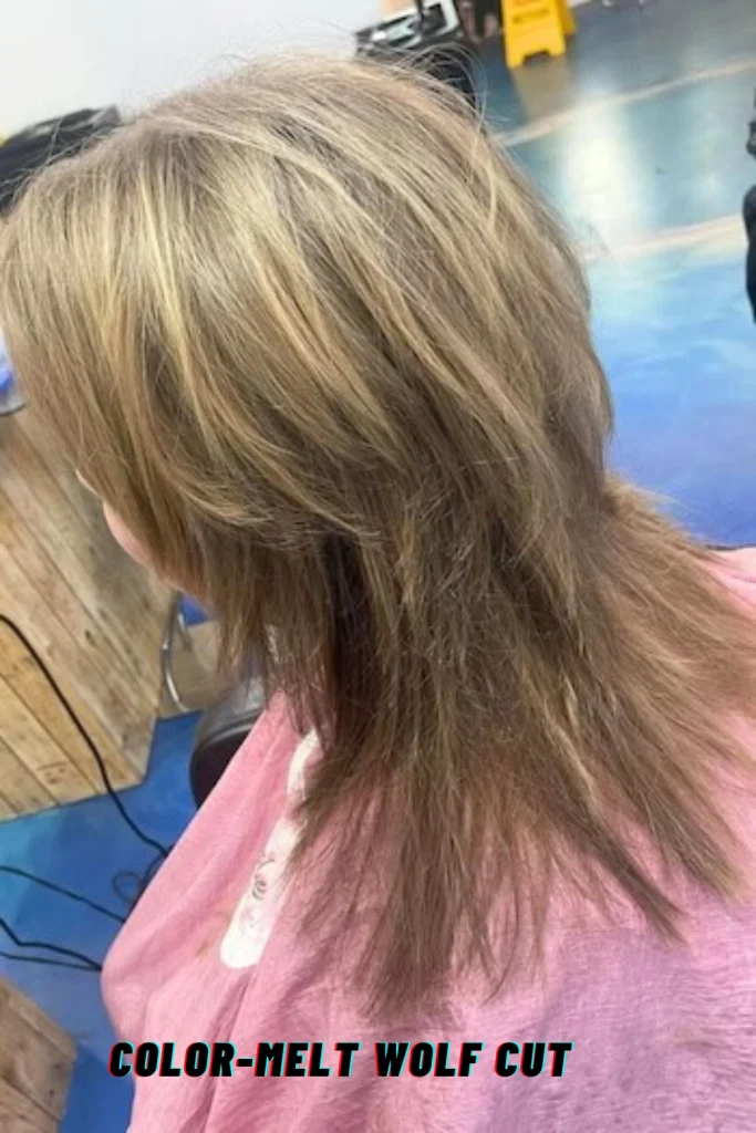 Color-Melt Wolf Cut