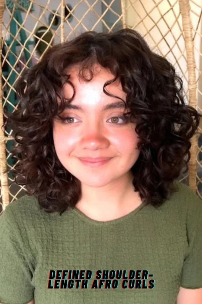 Defined Shoulder-Length Afro Curls