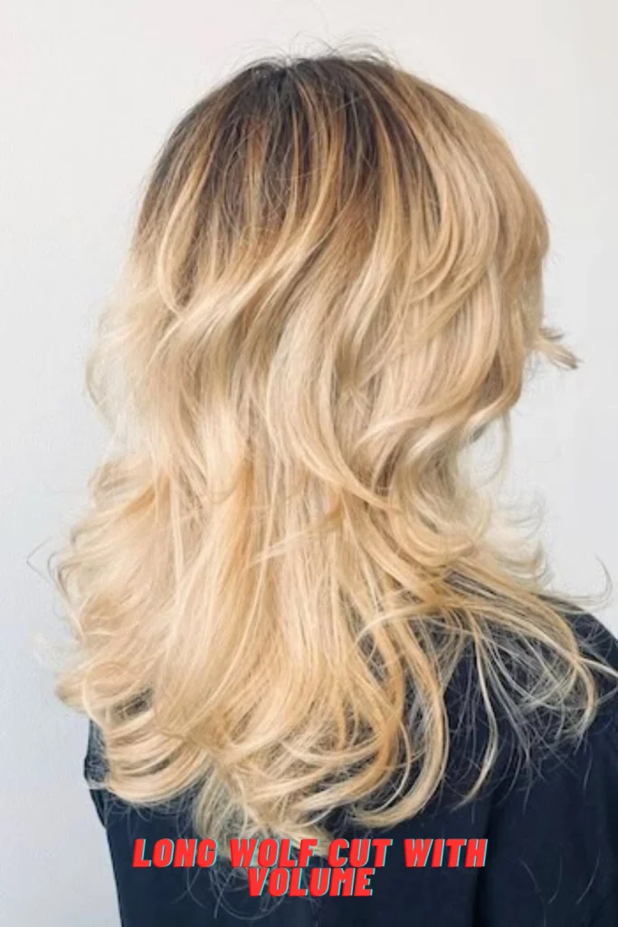 Long Wolf Cut with Volume