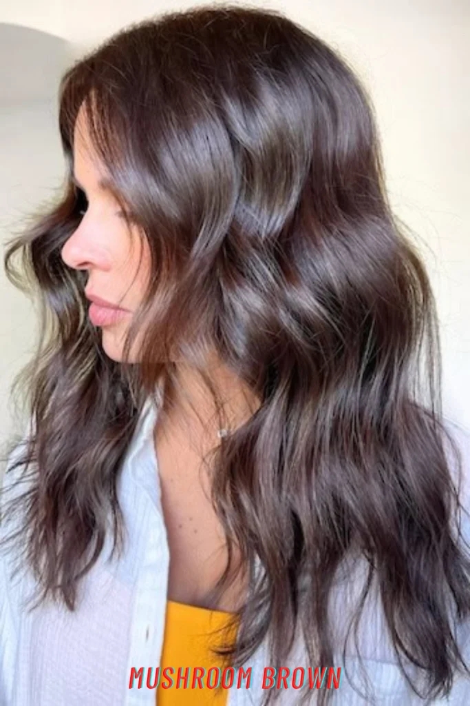 Mushroom Brown