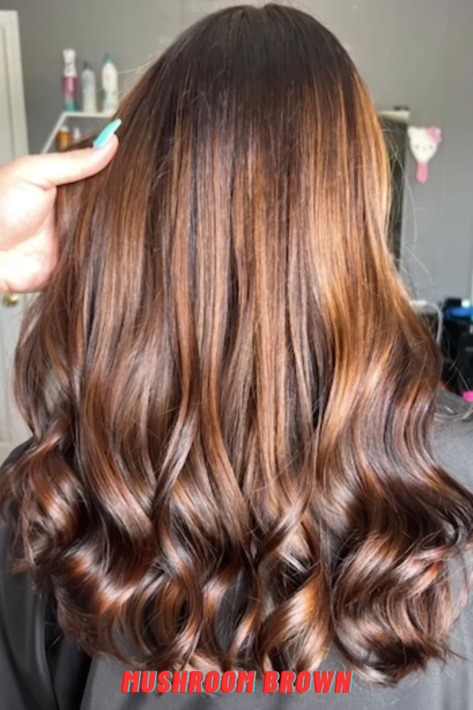Mushroom Brown