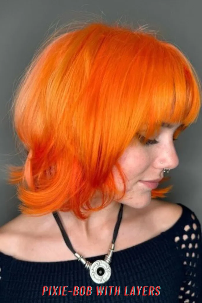 Pixie-Bob with Layers