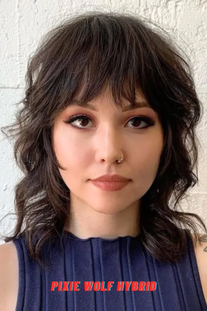 Pixie Wolf Hybrid