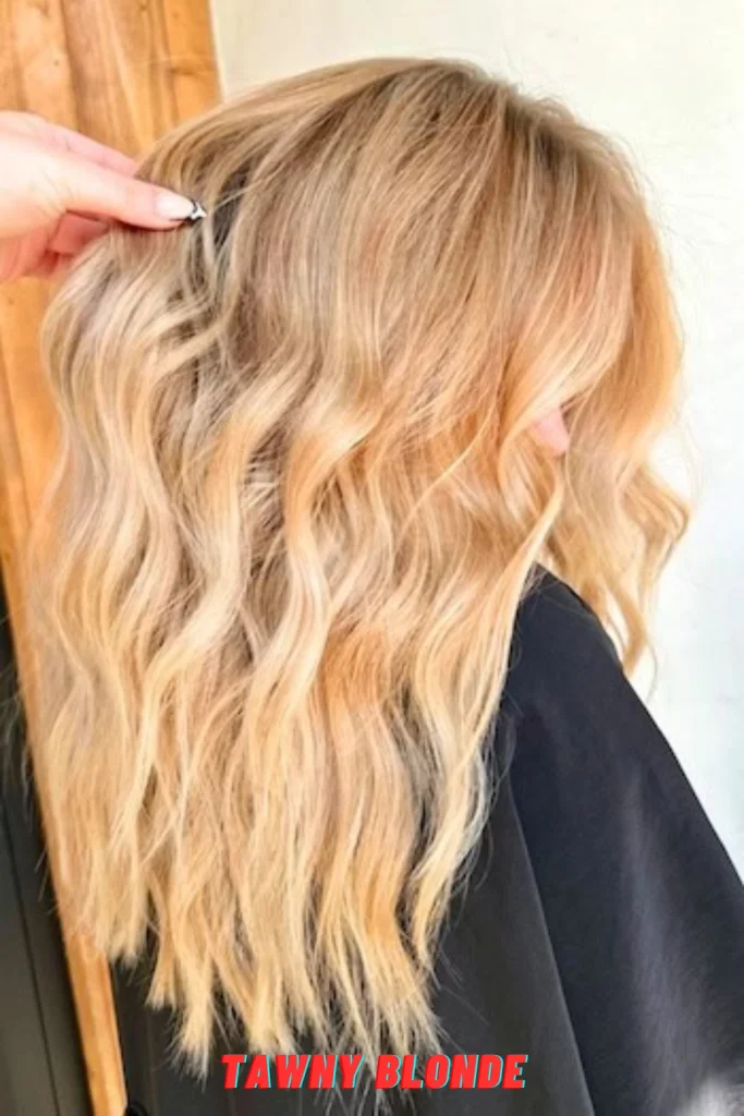 Tawny Blonde