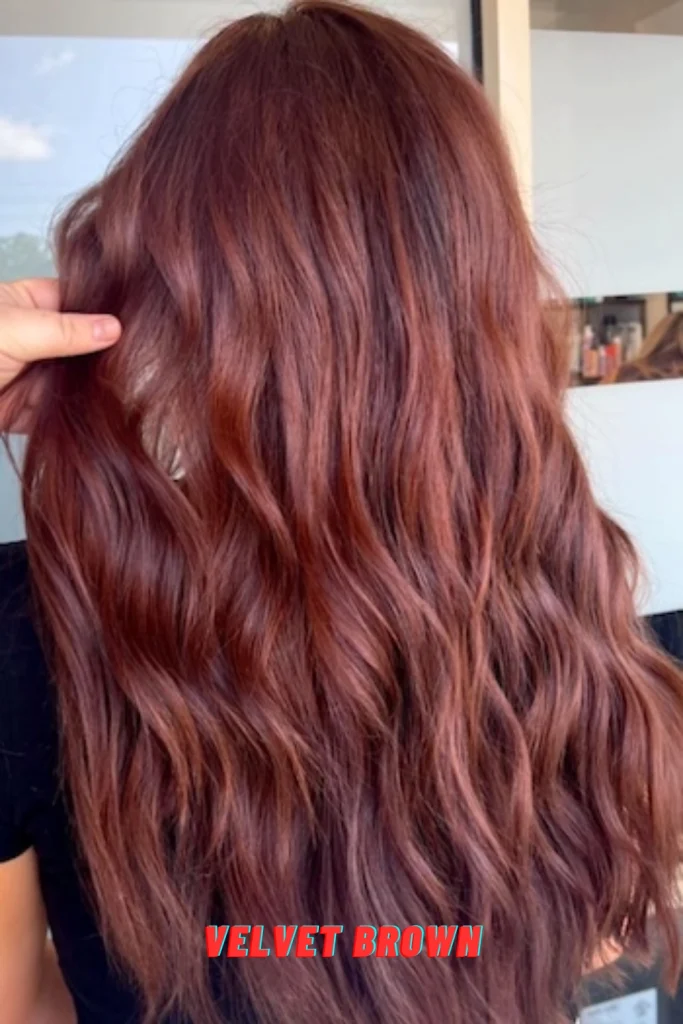 Velvet Brown