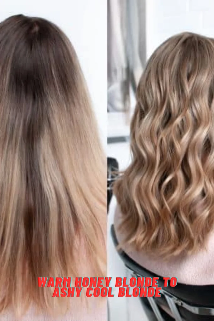 Warm Honey Blonde to Ashy Cool Blonde