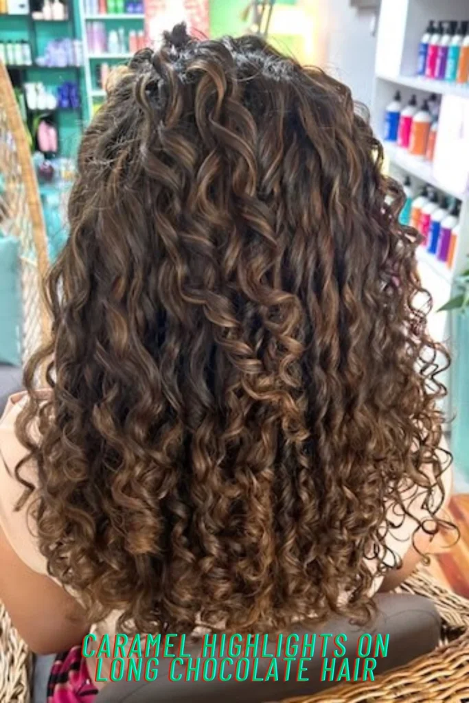 Caramel Highlights on Long Chocolate Hair