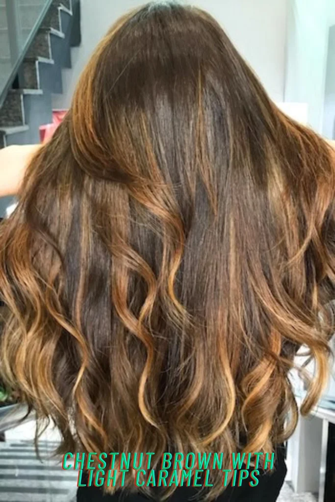 Chestnut Brown with Light Caramel Tips