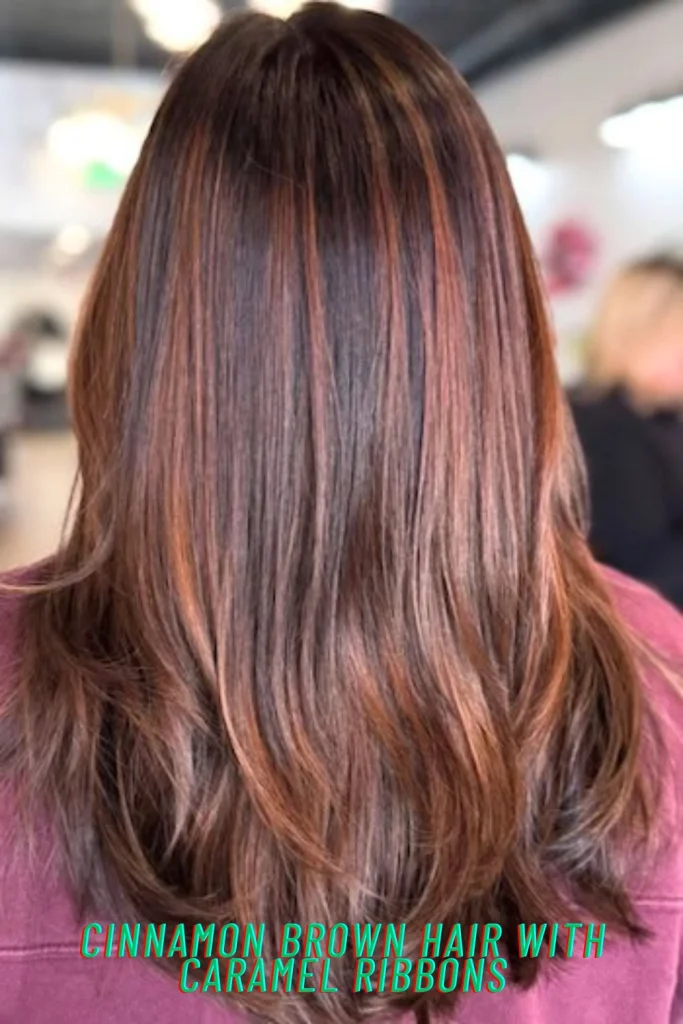 Cinnamon Brown Hair with Caramel Ribbons