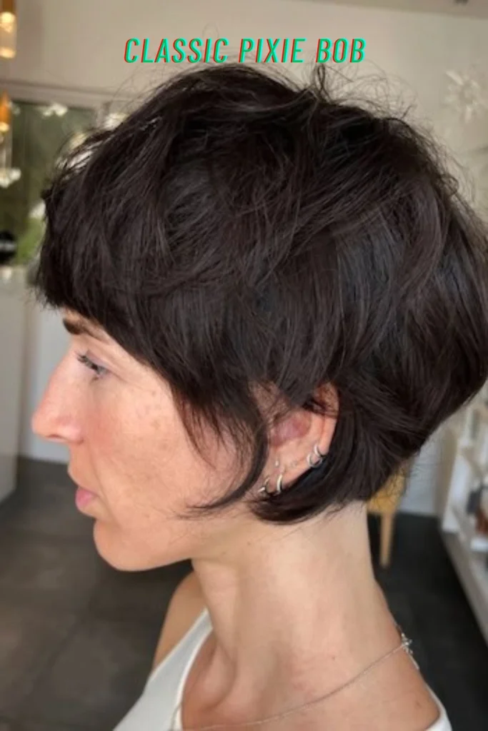 Classic Pixie Bob