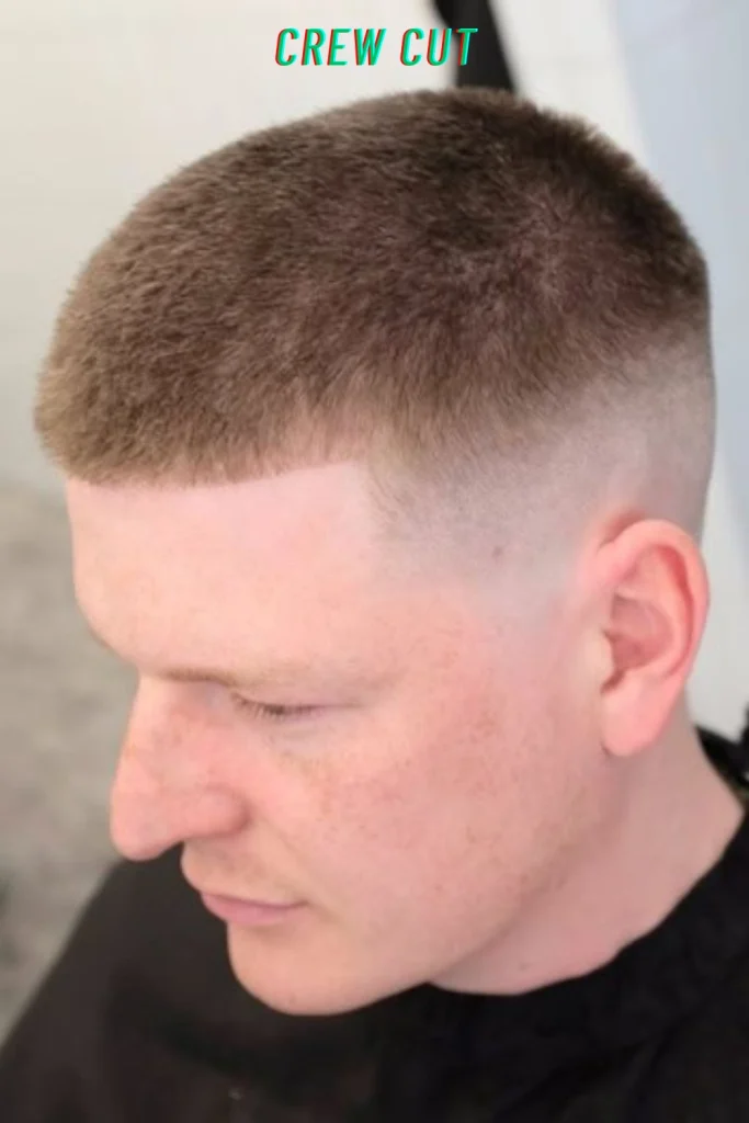 Crew Cut