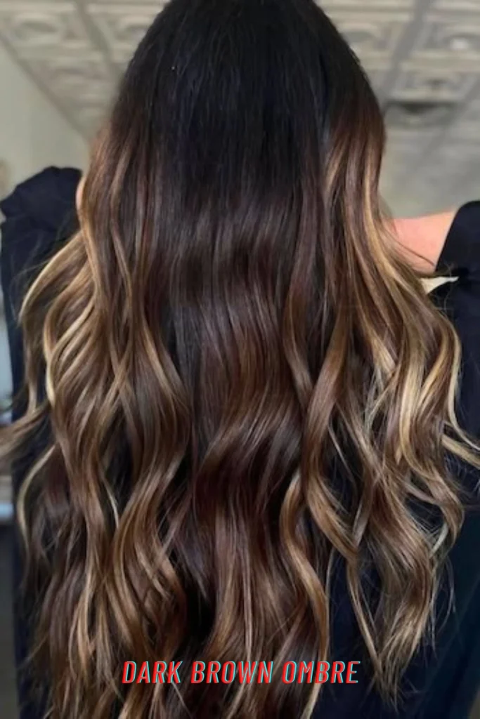 Dark Brown Ombre