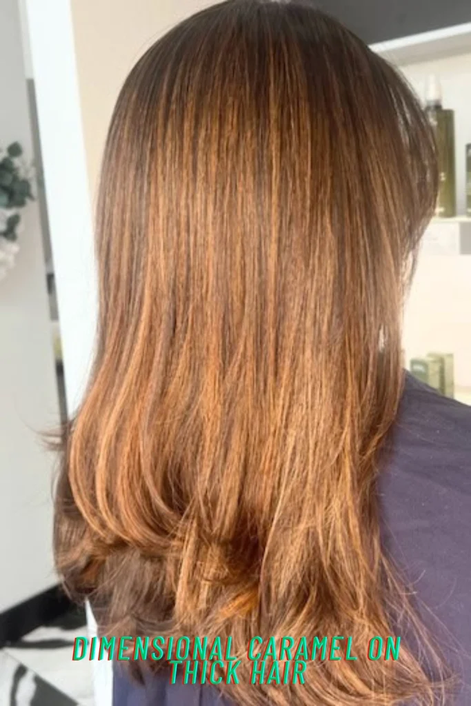 Dimensional Caramel on Thick Hair