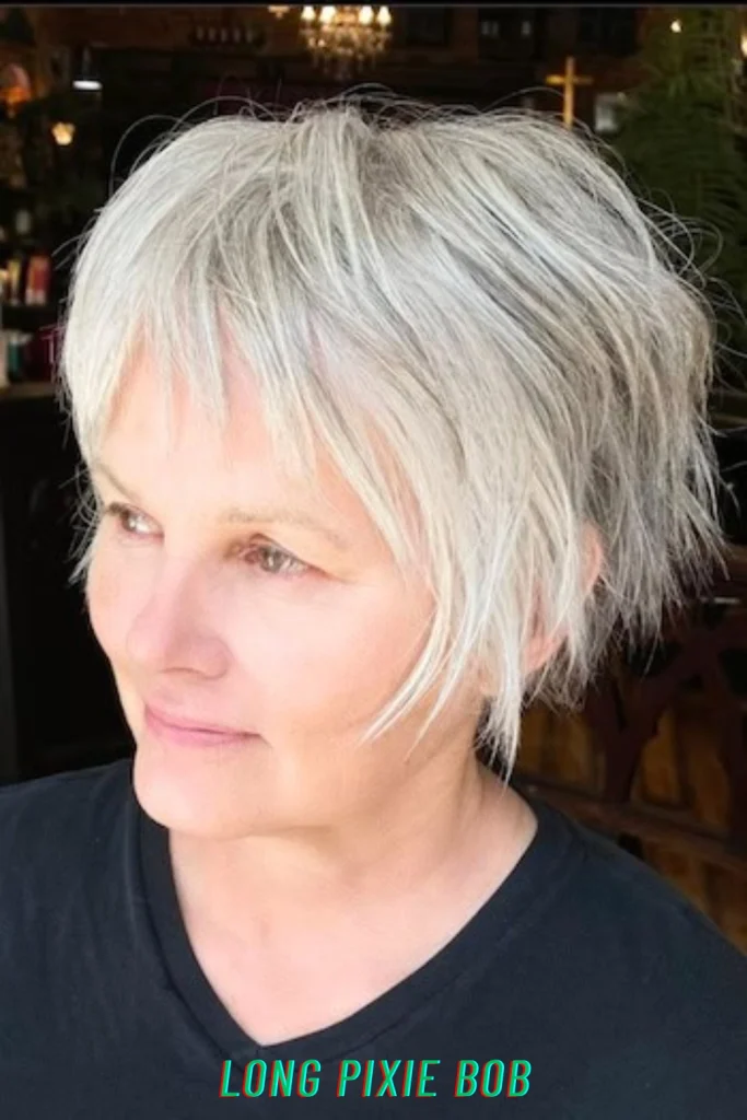 Long Pixie Bob