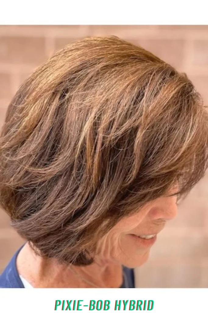Pixie-Bob Hybrid