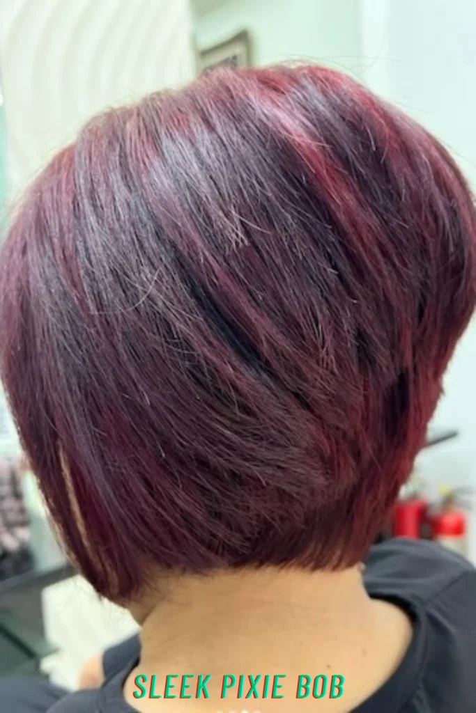 Sleek Pixie Bob