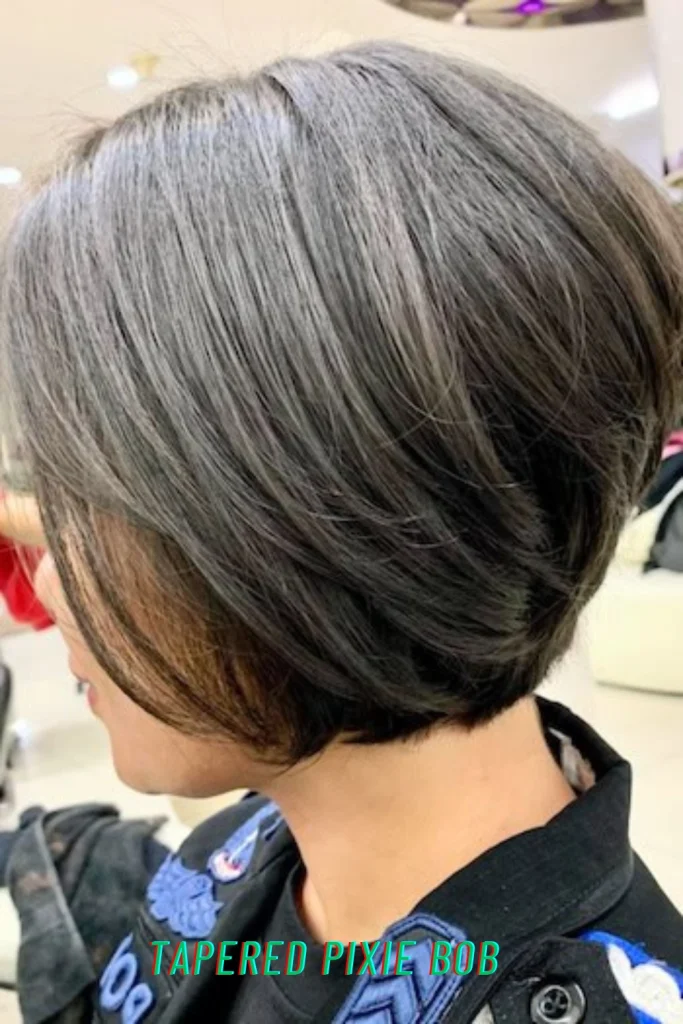 Tapered Pixie Bob