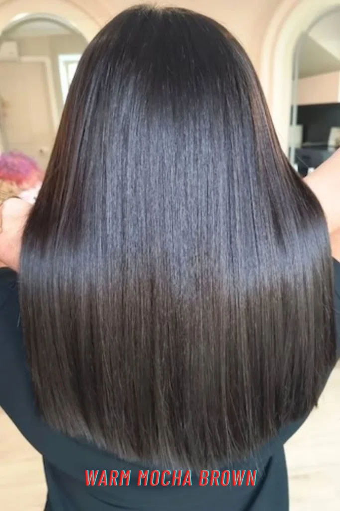 Warm Mocha Brown