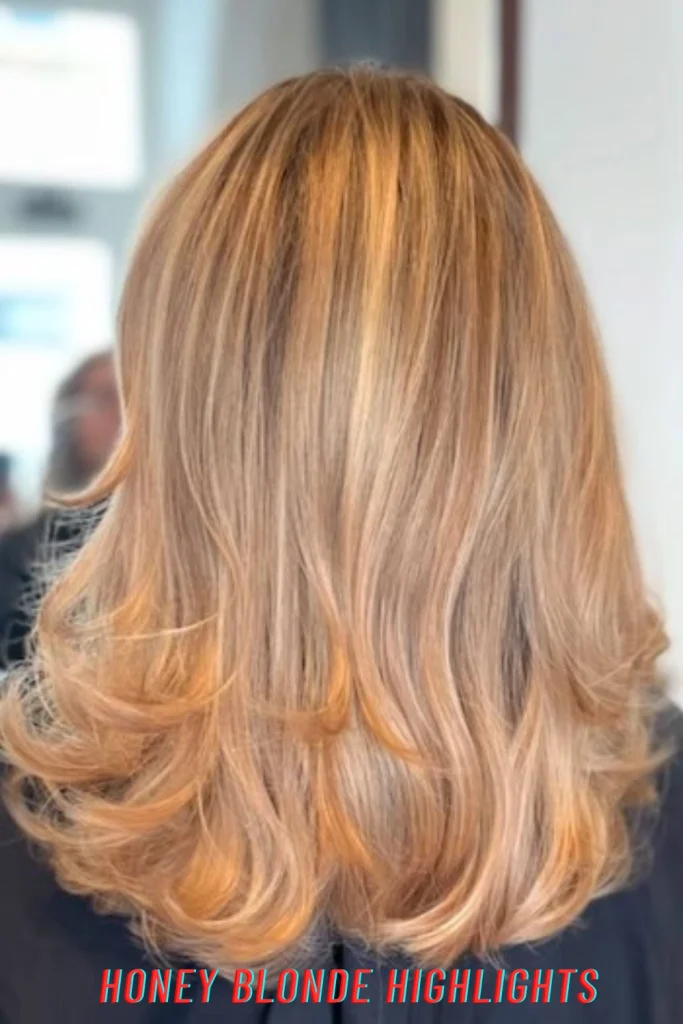 Honey Blonde Highlights