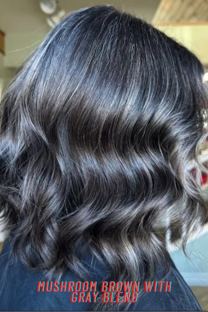 Mushroom Brown with Gray Blend