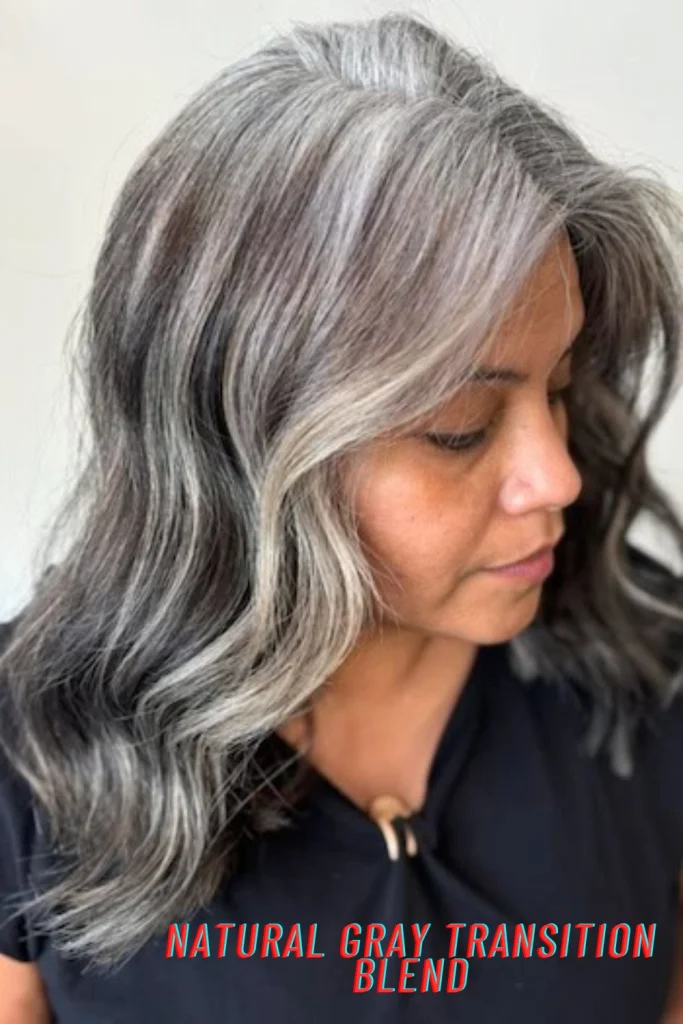 Natural Gray Transition Blend