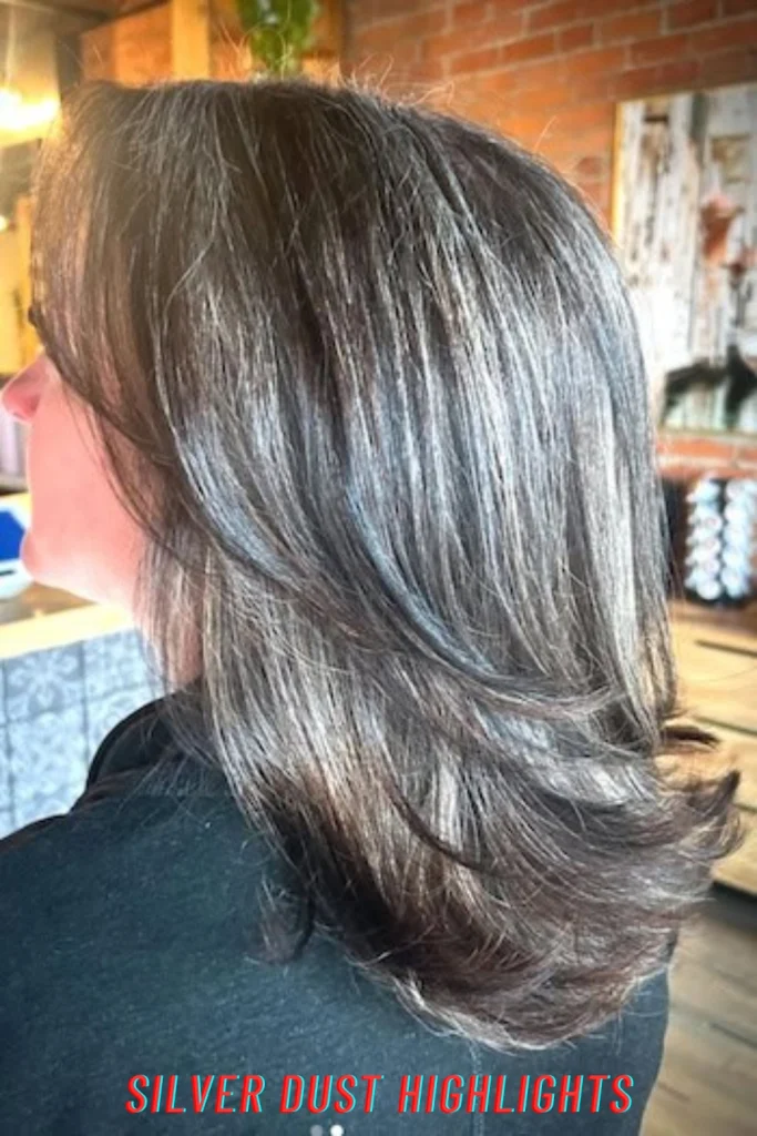 Silver Dust Highlights
